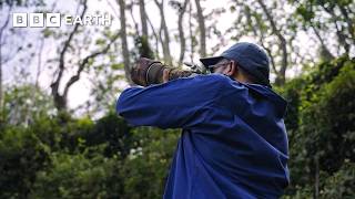POV: Photographing India's Rarest Wildlife | In Search Of Nature | The Travel Edit
