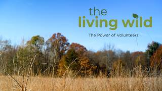 The Power of Volunteers
