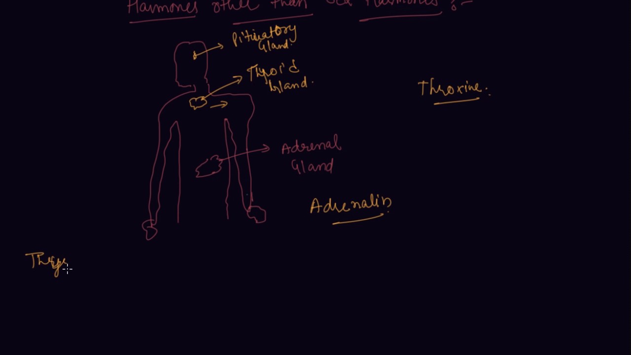 Hormones Other than the Sex Hormones | Class 8 Biology Reaching the Age of Adolescence