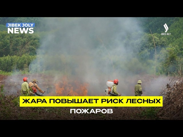 Жара повышает риск лесных пожаров