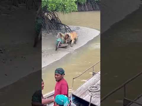 On Camera Recording Fisherman Sundarban!🐯