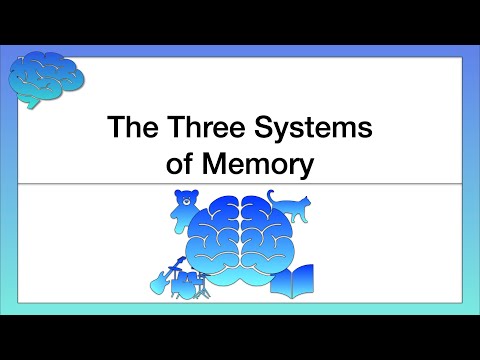The Three Systems of Memory