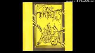 Ozric Tentacles - Stupid Reggae (Glastonbury, Oct '85)