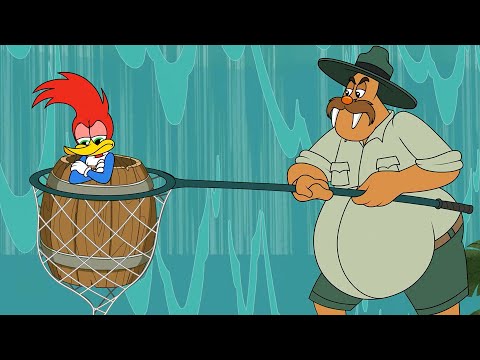 Capa de Pica-Pau | O Estraga Prazeres | Desenhos Animados em Português