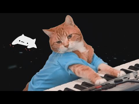 Koci Kradziej - Cofnąć Czas (Jeszcze raz)