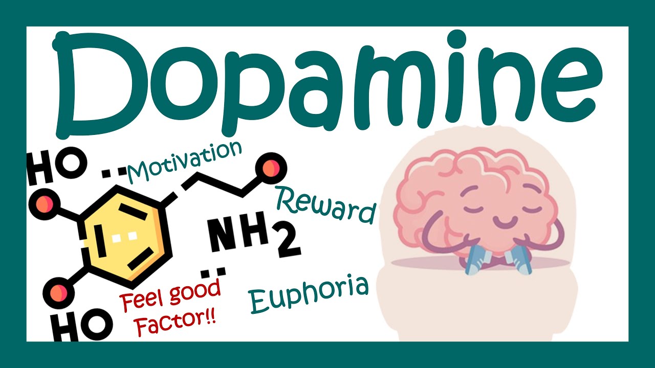 Dopamine |  Dopaminergic pathways in brain | Dopamine deficiency | Parkinson's disease