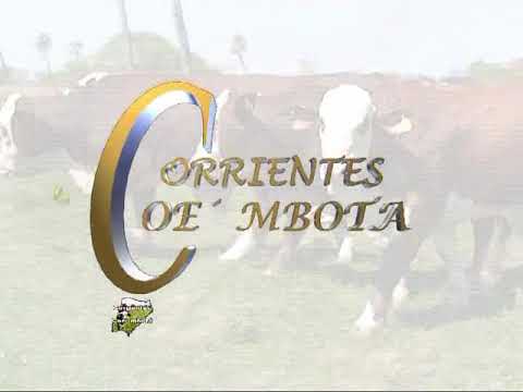 COE MBOTA CON COPRA Y PERAZZO B2 C650 01 09 18