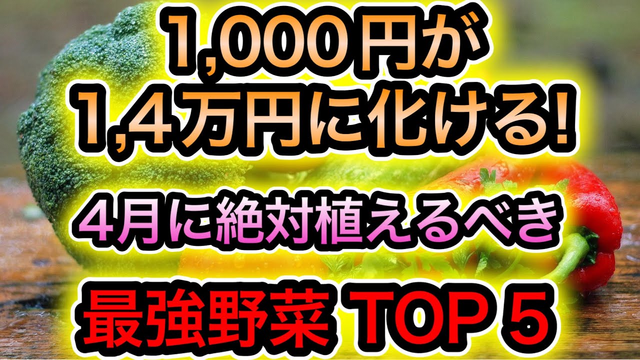 もうスーパーの野菜は買うな！物価高も怖くない！4月に植えないと後悔する野菜５選
