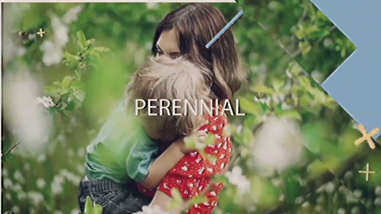 Addiction Treatment in Westborough, MA: Discover Perennial Recovery's PHP & IOP Care.