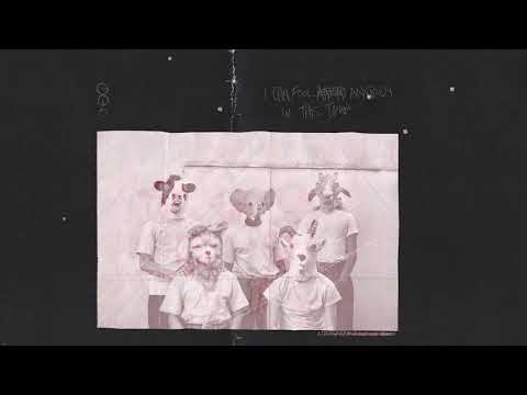 Nine - Liily