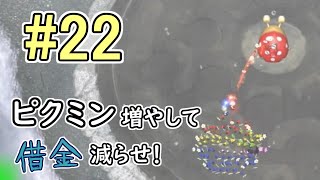 【ピクミン2】ピクミン増やして借金減らせ！# 22