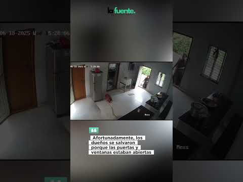 🔥 Explosión por fuga de gas: ¡se salvaron de milagro! 🔥