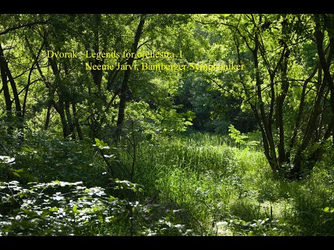 Dvorak : Legends for orchestra I
