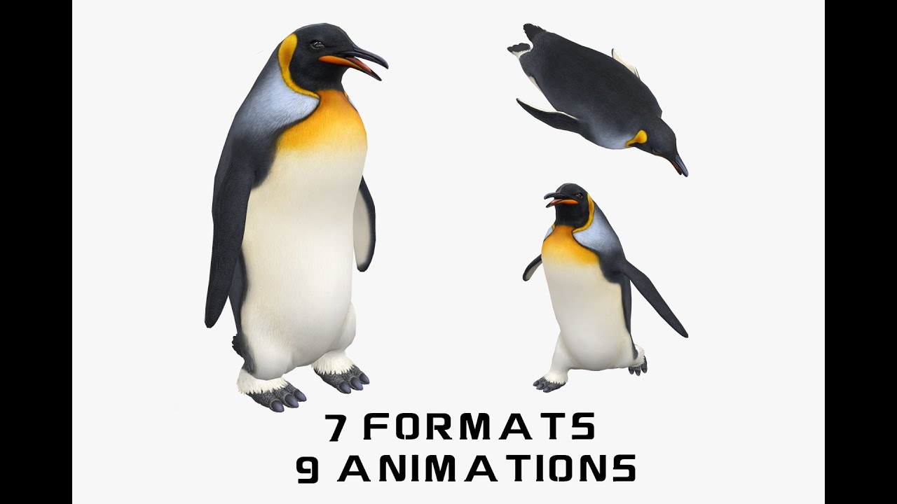 Animated penguin 3D Model