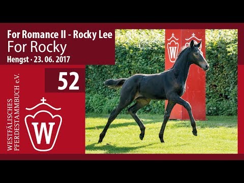52 For Rocky HF v. For Romance II - Rocky Lee