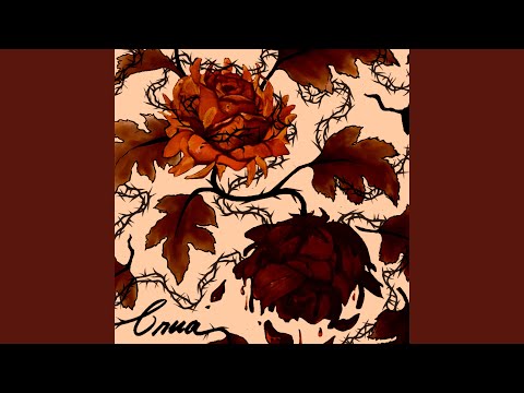 Não Me Procure Mais