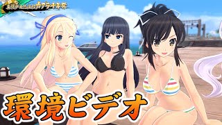 【閃乱カグラ EV】環境ビデオ Senran Kagura (Estival Versus) Back Ground Video
