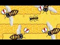 Invading the Bee Hive As A..BEE ANT??! - Pocket Ants Mobile