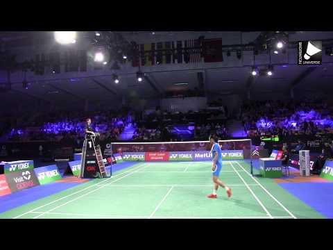 Li Xuerui vs Wang Yihan - Last rallies WS Final [Denmark Open 2014]