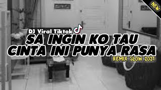 Download lagu Dj Terbaru Sa Ingin Ko Tau Cinta Ini Punya Rasa| Viral TikTok 2021 Slow Bass - (Abi Ziggi) New Remix mp3