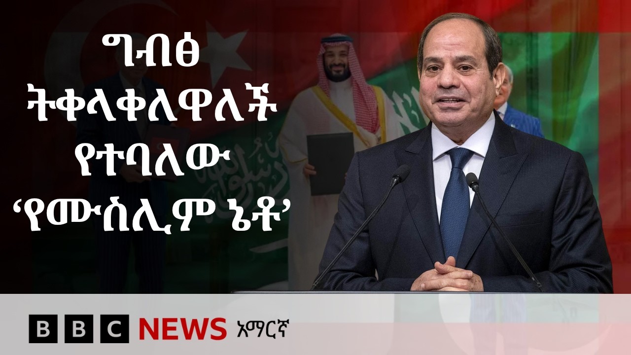 ግብፅ ትቀላቀለዋለች እየተባለ ያለው ቱርክ፣ ሳዑዲ እና ፓኪስታን የመሠረቱት 'የሙስሊ?