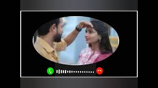 thamizhum saraswathiyum vijay tv serial/ love bgm