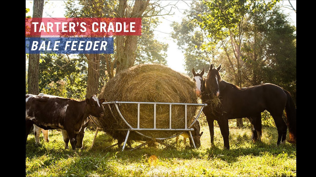 Small Animal Cradle Bale Feeder Tarter USA