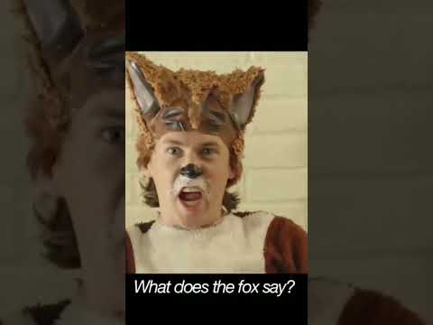 what does the fox say?