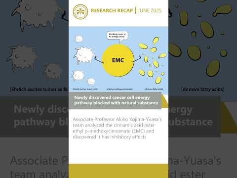 公共経営学科 OMU Research Recap June 2025