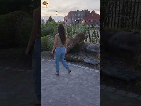 سنتور و سفر با آرزو ،😍باغ گل شهر کاله در فرانسه ArezooRezvani,Santur, Hotel de Vile de Calais#