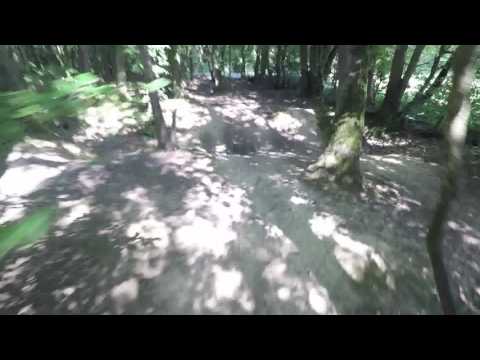Trail im Wald bei Eisingen/Höchberg