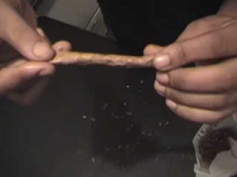 How to: roll a PERFECT Dutch Master