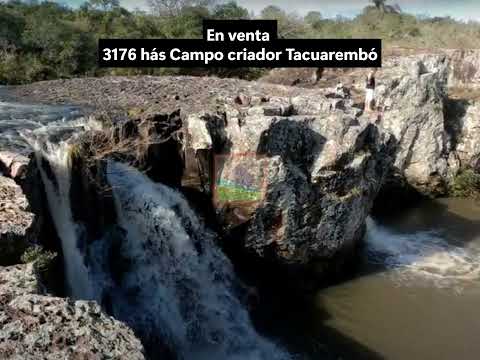 Campo criador en venta 3176 hectáreas en Tacuarembó, Uruguay