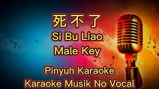 Download lagu Si Bu Liao - 死不了 - Karaoke Musik No Vocal mp3