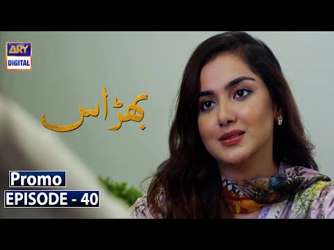 Bharaas Episode 40  - Promo - ARY Digital Drama