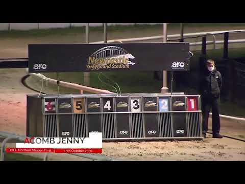 Acomb Jenny - BGBF British Bred Northern Maiden Standard Final