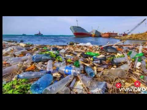 Contaminacion marina