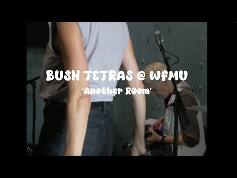 Bush Tetras Live on WFMU - 'Another Room'