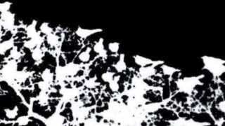 Jason Molina "The Big Game Is Every Night" Live Copenhagen 2002