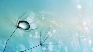 Alex H - Auf Wiedersehen (AKI Amano Remix) [Progressive House Worldwide]