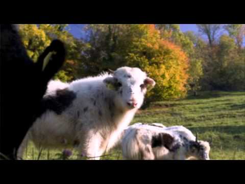 相逢何必曾相識                         韋綺姍    蔣志光