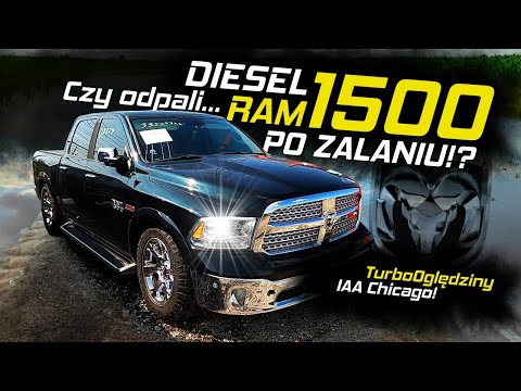 VLOG Oględziny IAA Chicago - (Część 2/2) - Wrześniowa wizyta na aukcji i pożegnanie lata