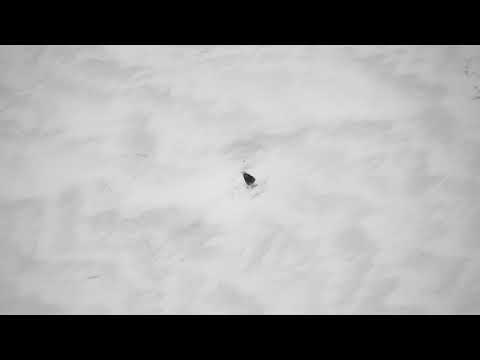 Scott Lake, near Oujé-Bougoumou, Quebec