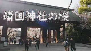 靖国神社の桜 4K Cherry blossoms at Yasukuni Shrine