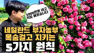 네덜란드 부자 농부에게 직접 배운 5가지 비밀