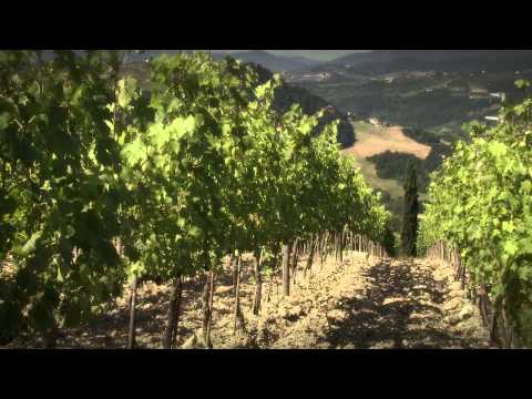 Mormoreto 2012 - Marchesi de' Frescobaldi