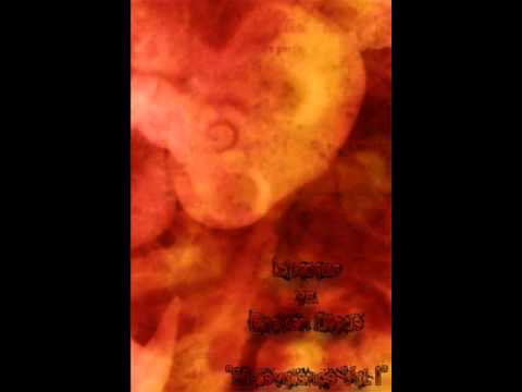 Ichorous/Broken Diode - Malevolence Vol. 1 (Full Split)