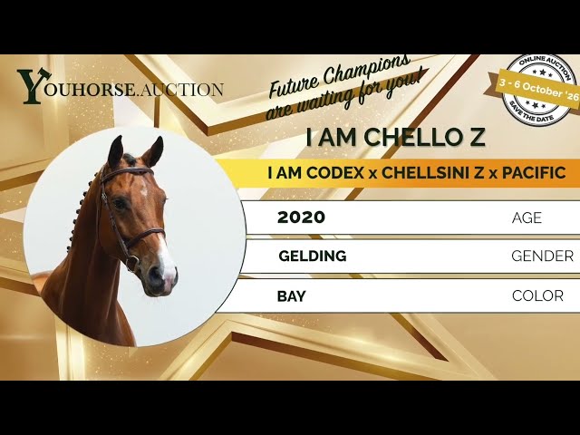 I am Chello homevideo