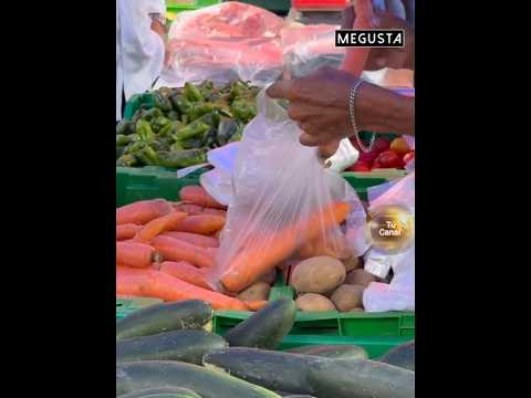 AGRO FERIA EN GUARARE Y LOS SANTOS