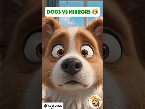 Dog Thought the Mirror Was Another Dog… BIG MISTAKE 😂🐶 #cuteanimals #funnyanimals